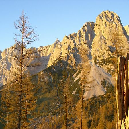 Gasthof Hunerkogel Hotel Ramsau am Dachstein Exterior foto