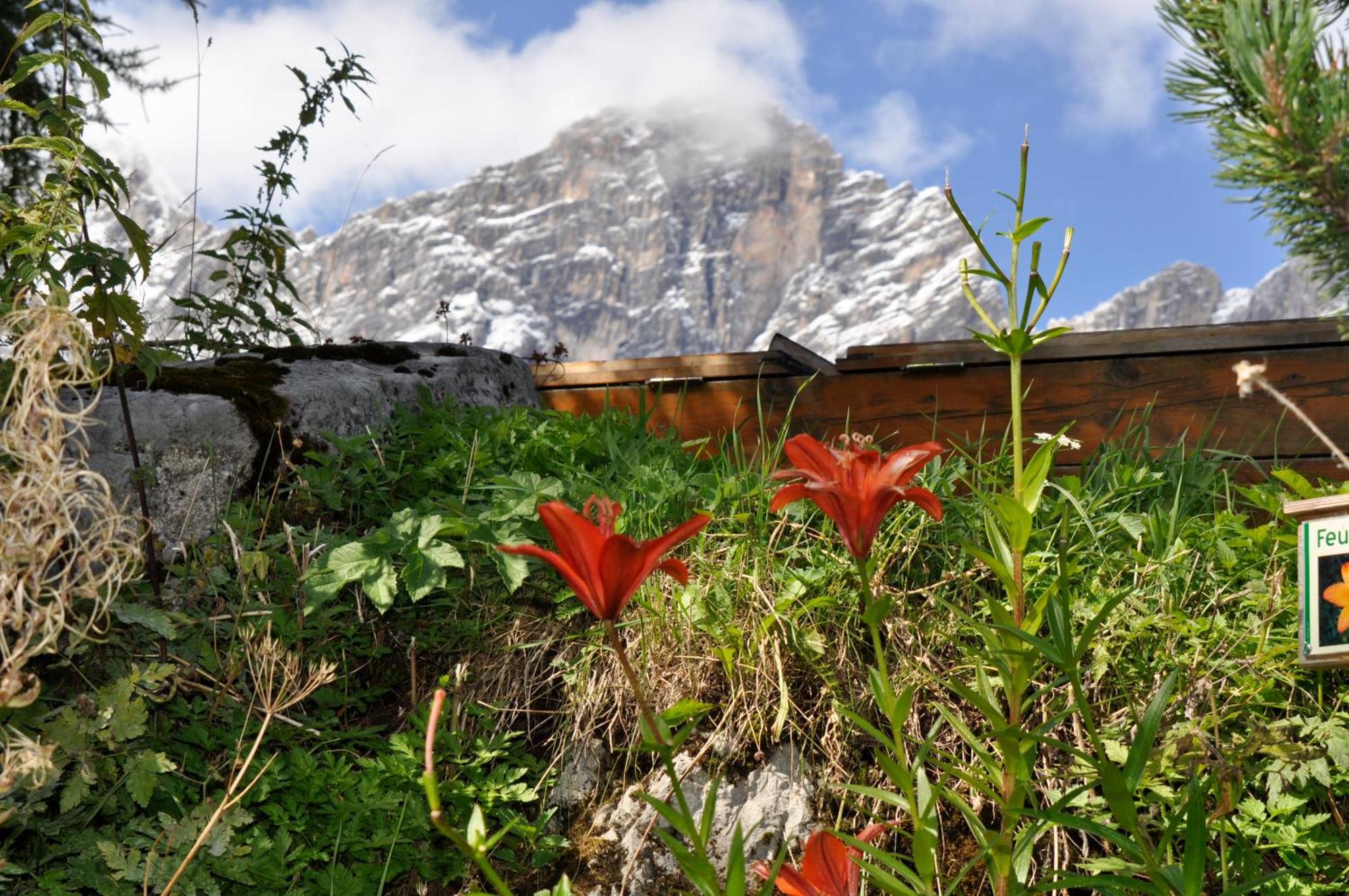 Gasthof Hunerkogel Hotel Ramsau am Dachstein Exterior foto